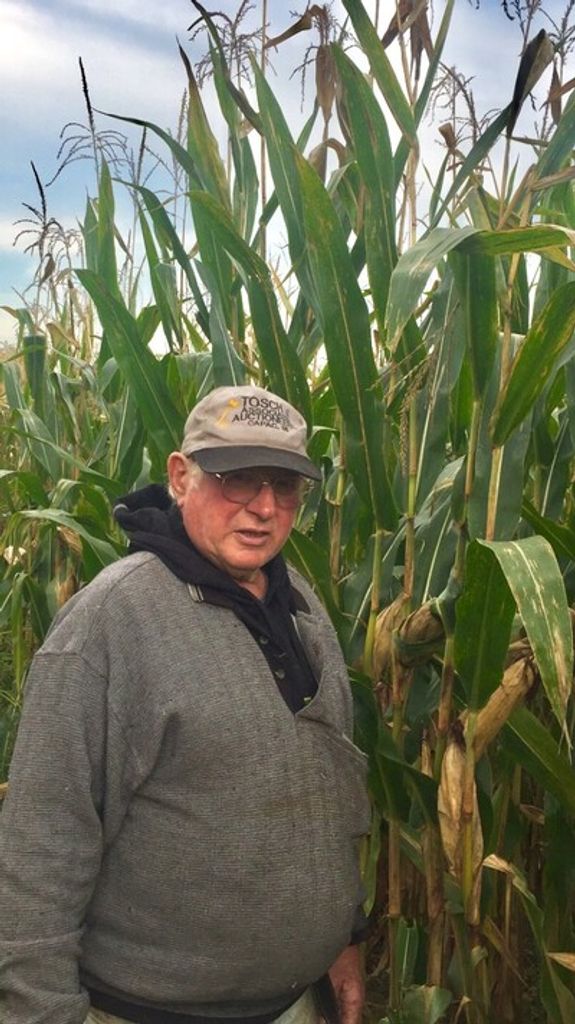 Stephen Anthony Ulrich Profile Photo