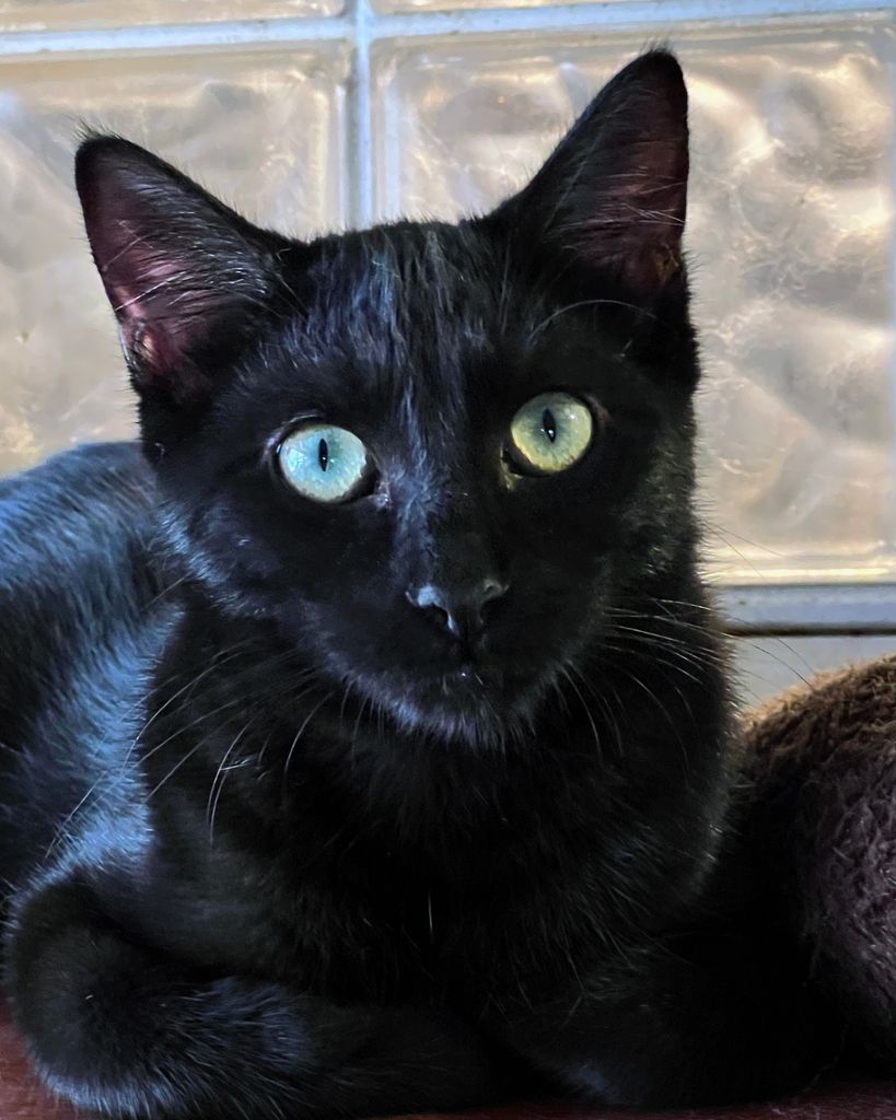 George Anderson/Truett