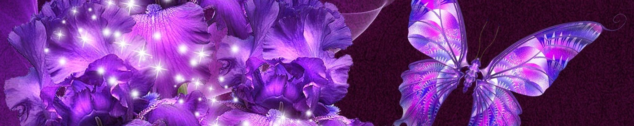 Cover photo for Kelly Rae Morris's Obituary