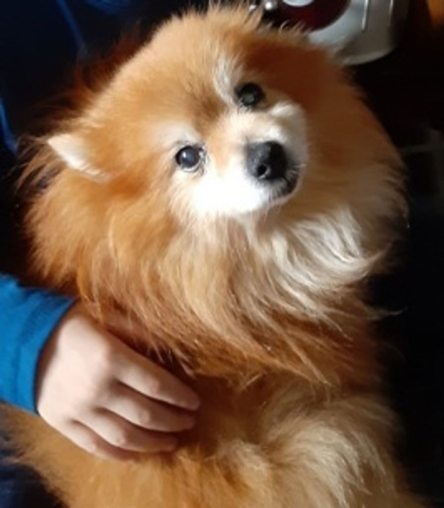 Kodiak Blose Profile Photo