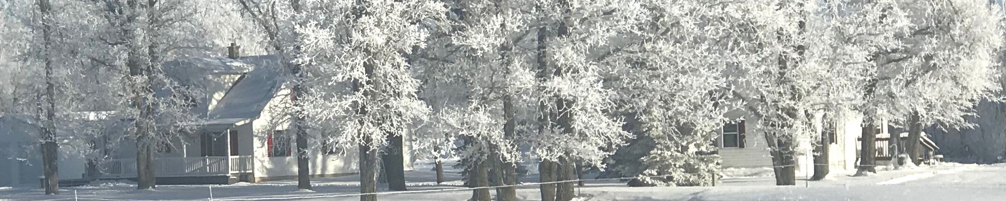 Cover for Clarice Sorteberg's Obituary