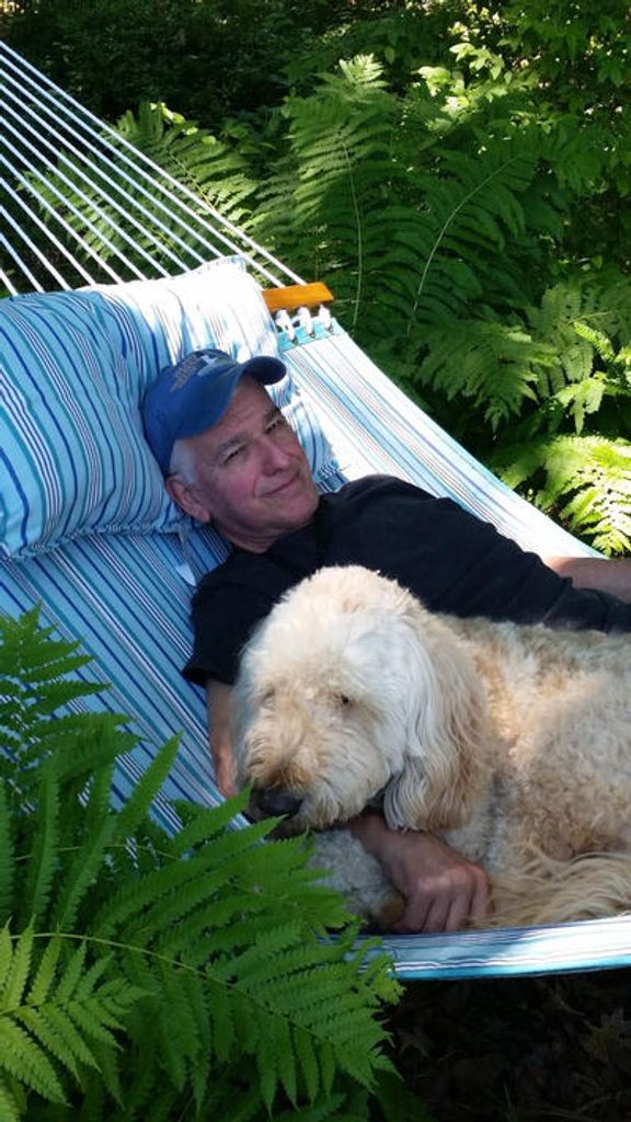 Terry James Romano Profile Photo