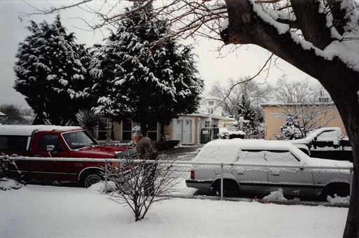 Frank R Cordeiro photo gallery thumbnail 30 of 101