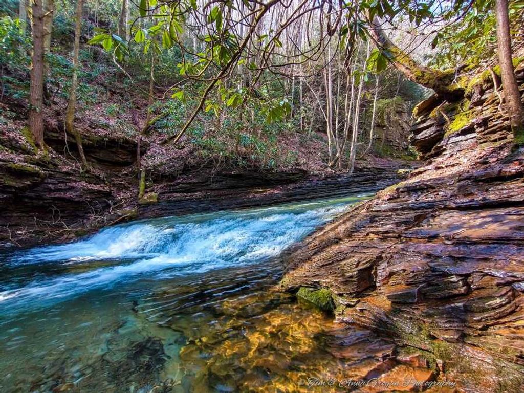 William 'Bobby" Young