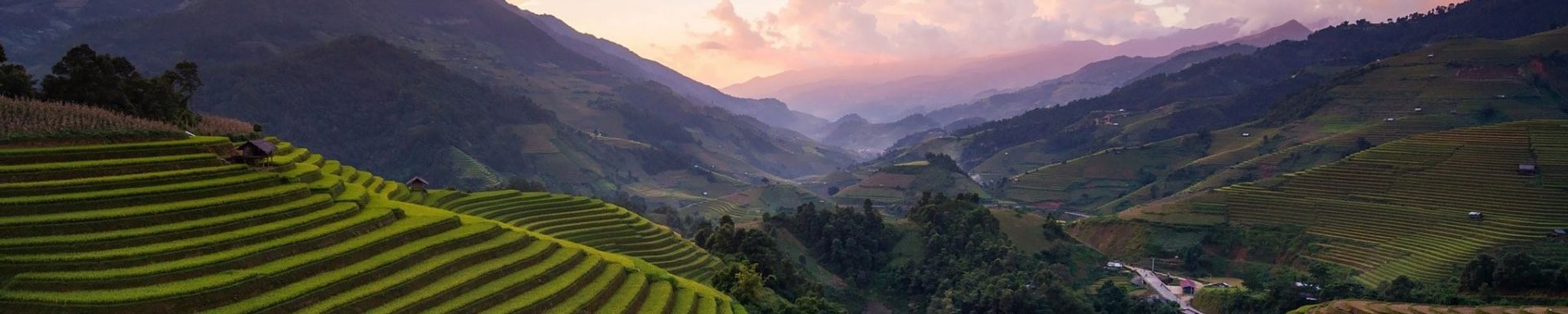 Cover photo for Dao Huu Nguyen's Obituary