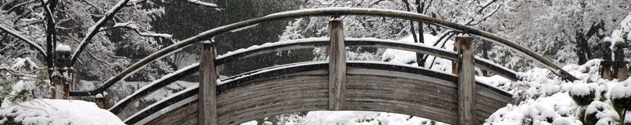 Cover for Cecil Sharp's Obituary