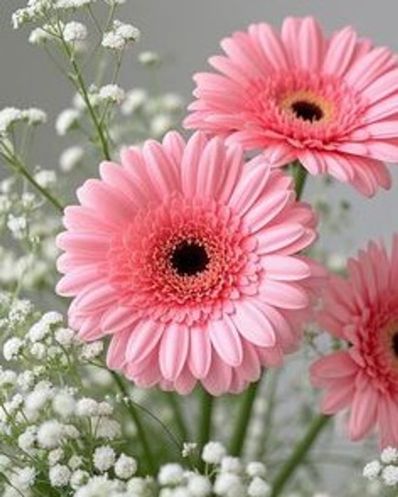 Mildred May Parker Profile Photo