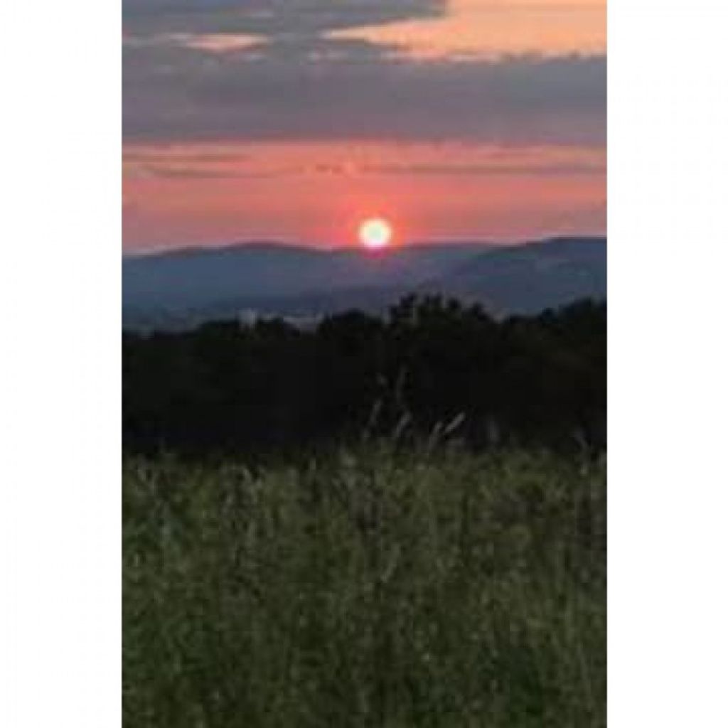 Thomas Edward Hose Profile Photo