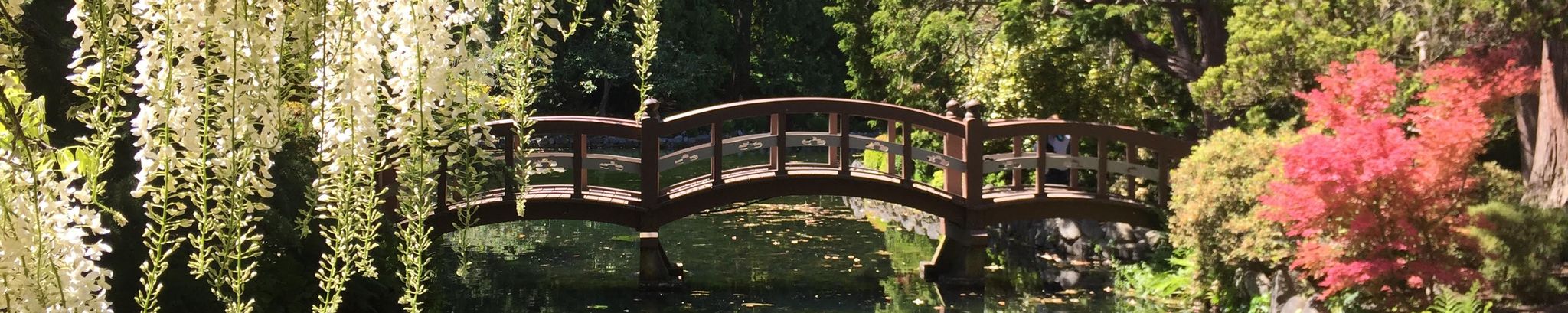 Cover for Jacqueline Gougeon's Obituary