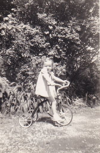 Sharen K Van Lerberghe photo gallery thumbnail 10 of 51