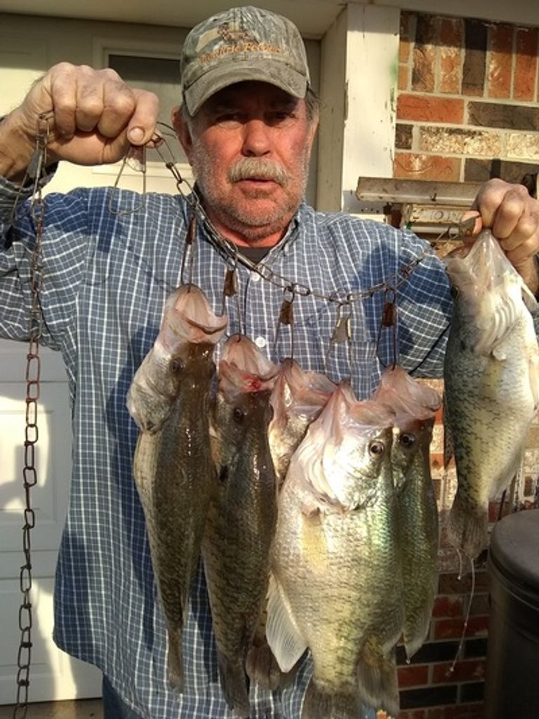 Alfred Rothell Profile Photo