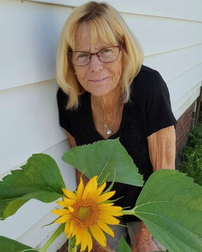 Phyllis Flynn Profile Photo