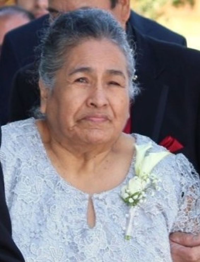 Virginia Bermudez