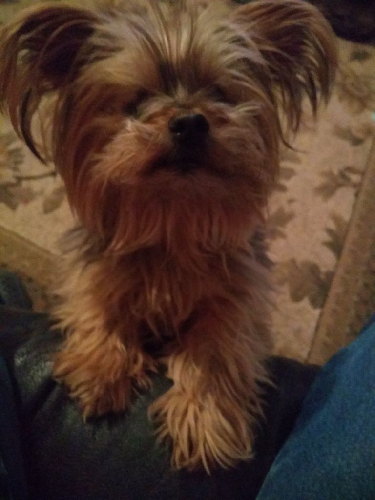 Widdle Profile Photo