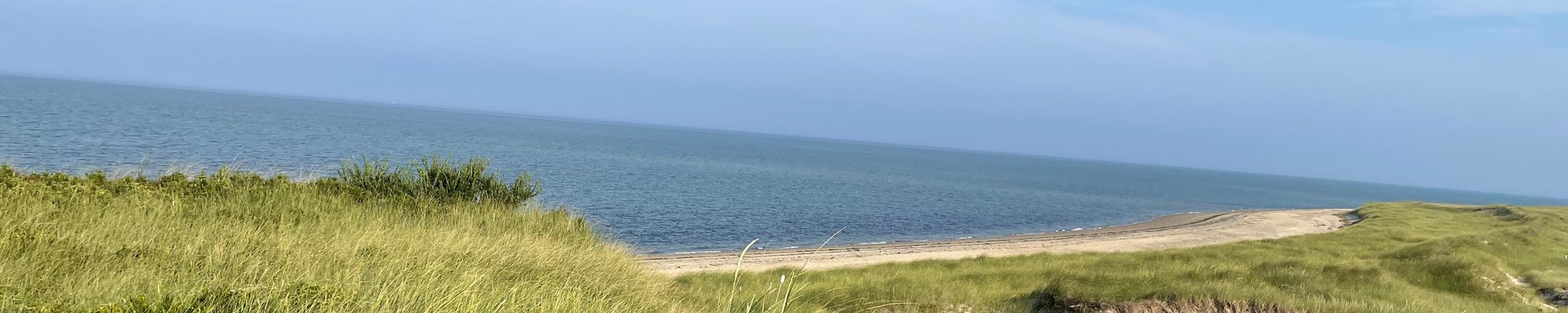 Cover for Maria Fernanda Cesnik's Obituary