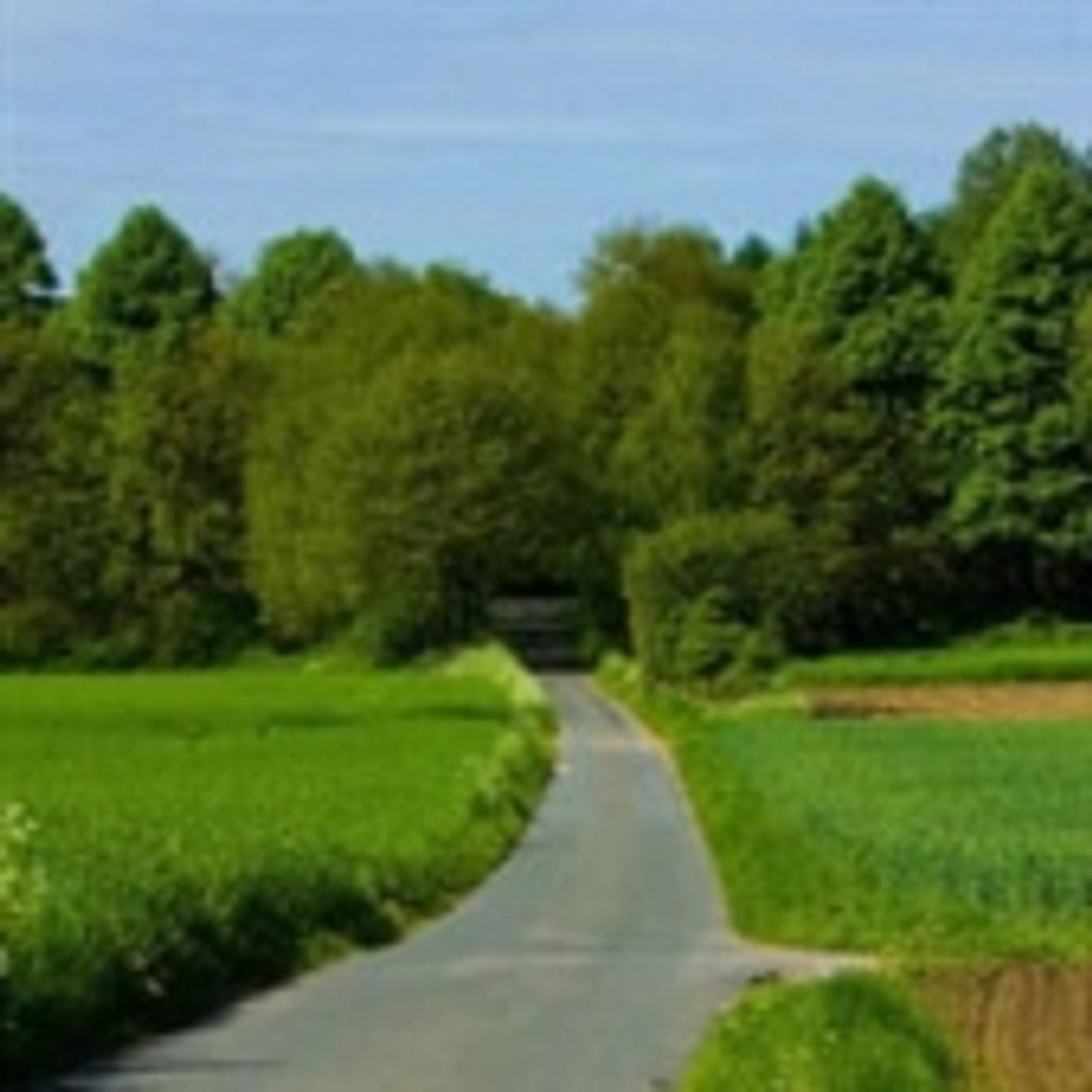 Thomas A. Tolleson Sr. Profile Photo