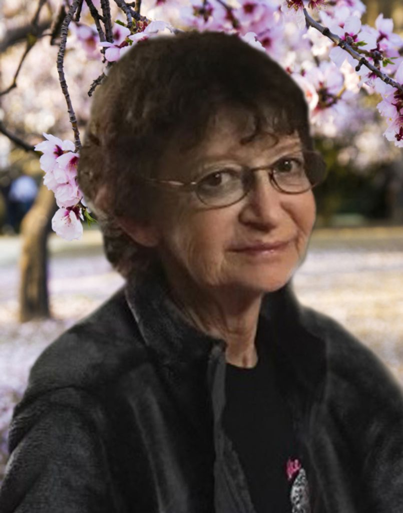 Rose Marie (Dillard)  Miller