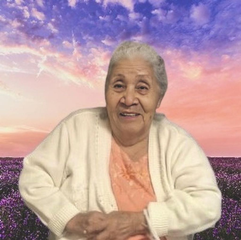 Carmen Castillo De Castrellon Profile Photo