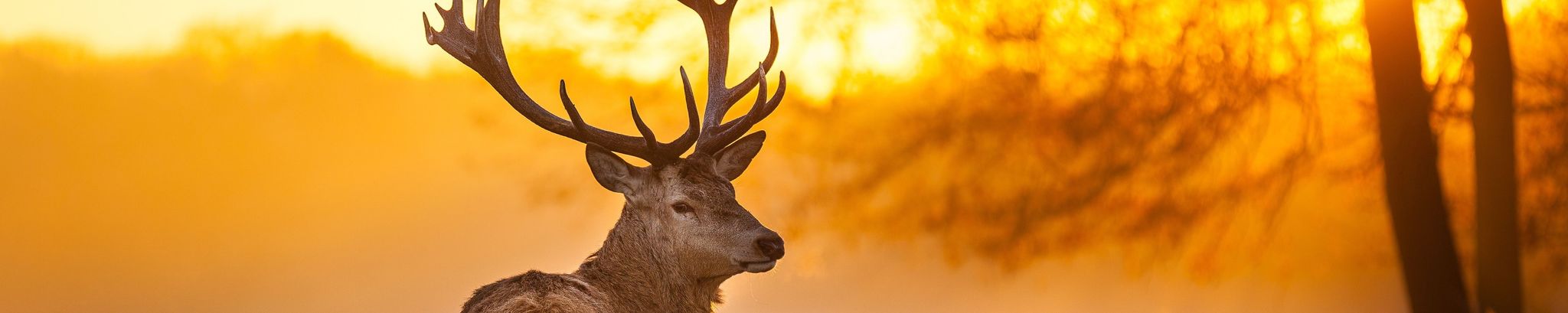 Cover for Juan Medina's Obituary