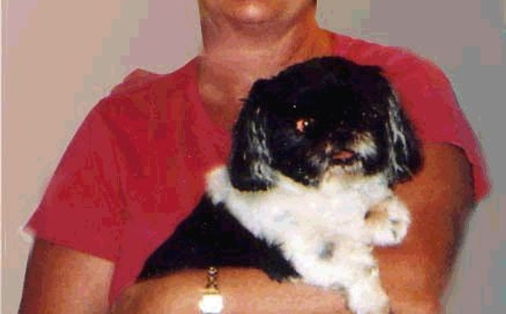 Cynthia J. Trindle