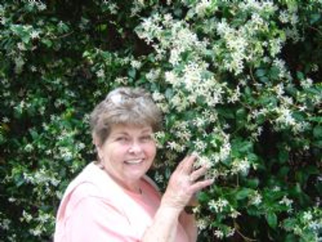 Janet Mixon
