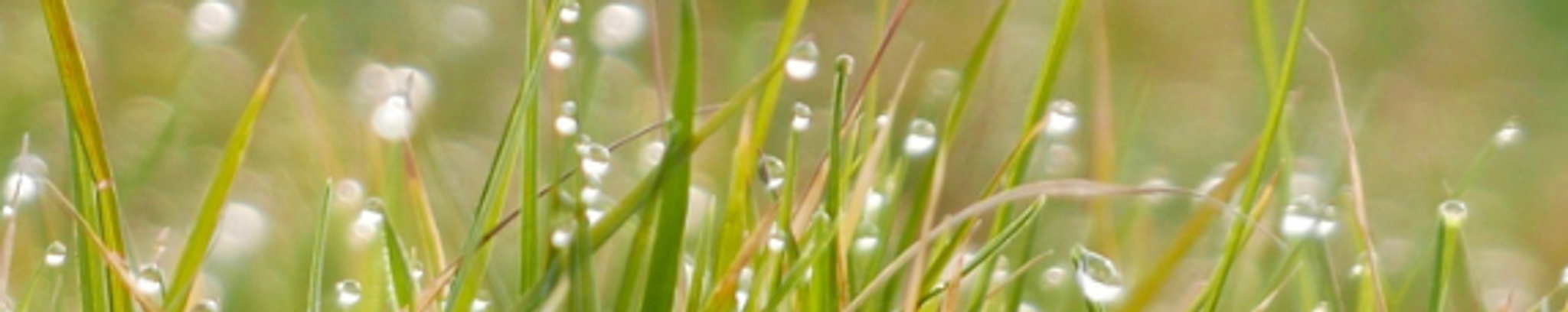 Cover for Bodie Maddox Fretwell's Obituary