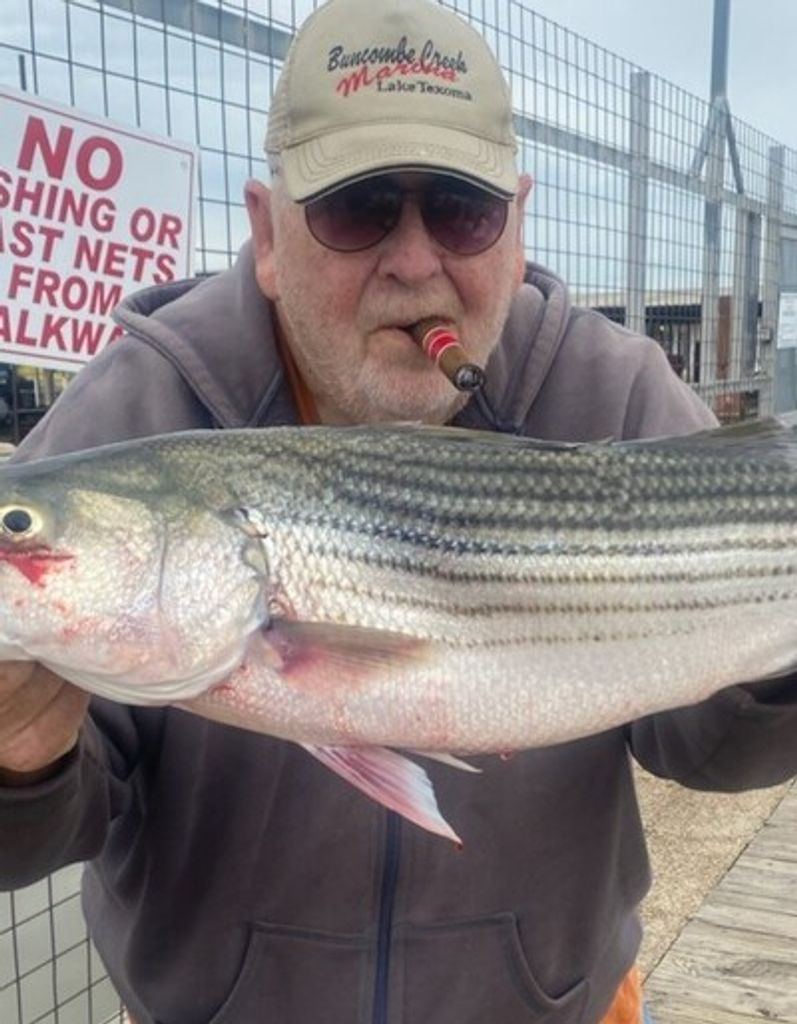 Rodney D. "Rod" Eggert Profile Photo