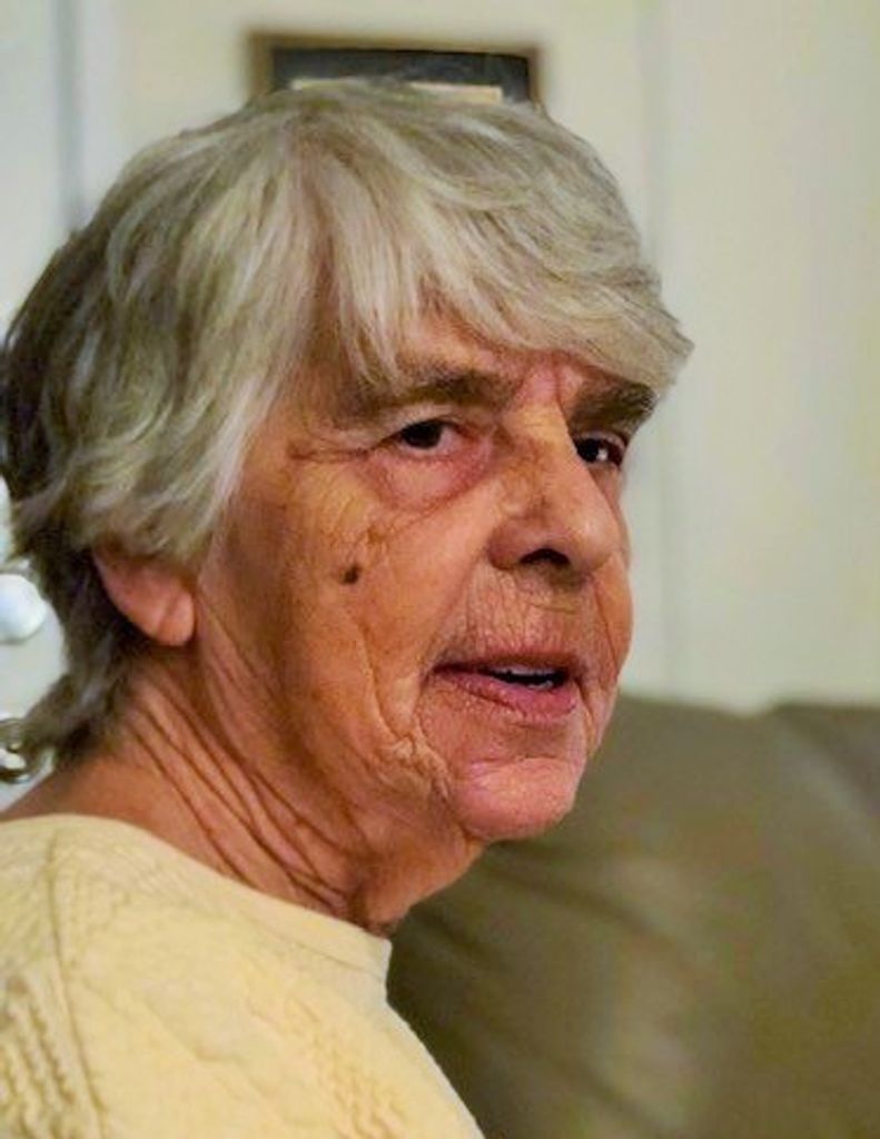 Shirley Ann (Phillips)  Bailes