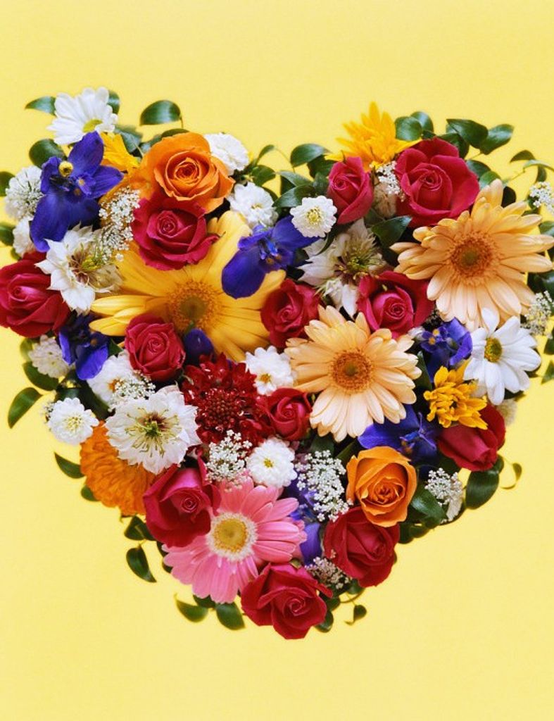 Ava Katherine Jane Triggs