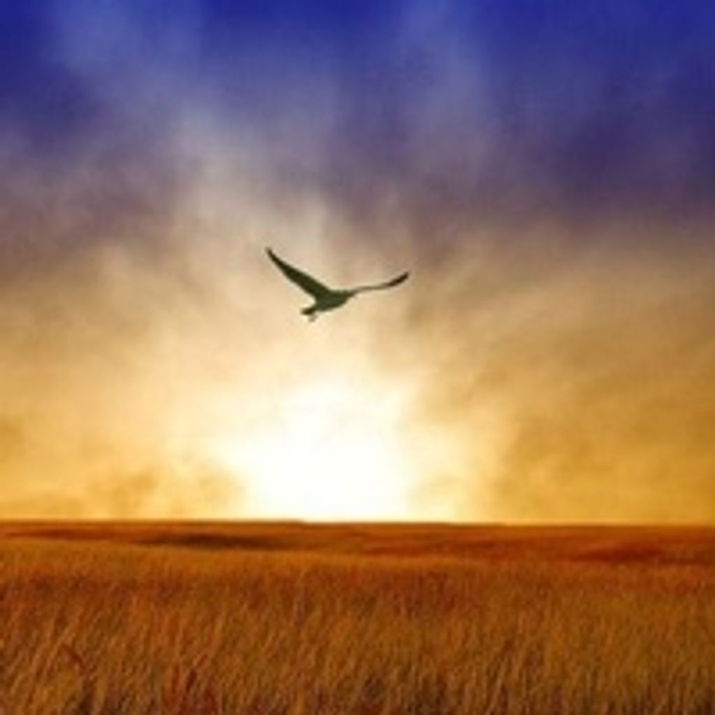 Michael  F. Mayhew Profile Photo