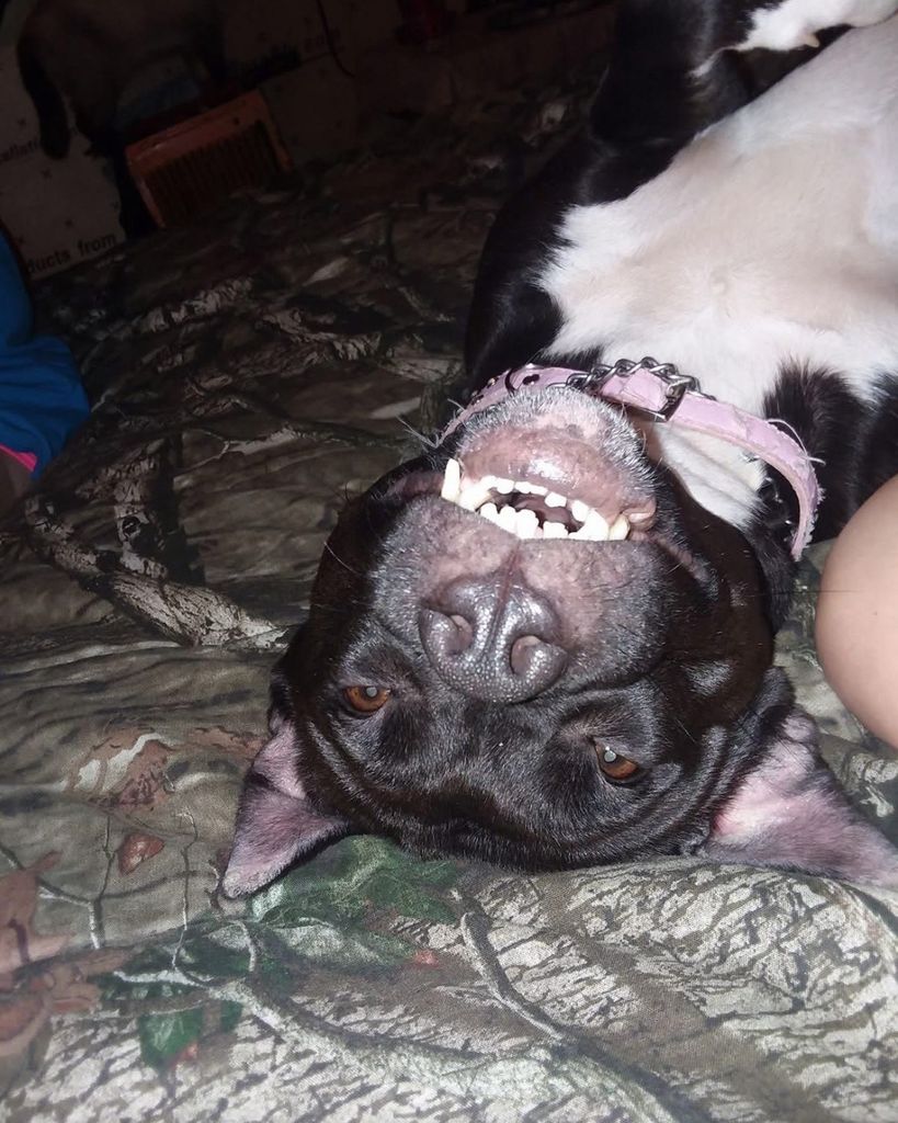 Galaxy Infinity Profile Photo