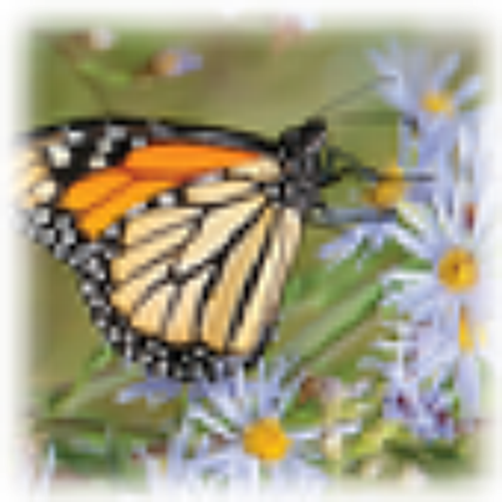 Ja'Liah Monae Cowans-Brown