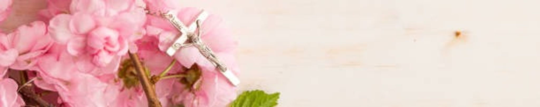 Cover for Linda Lee Tingley's Obituary