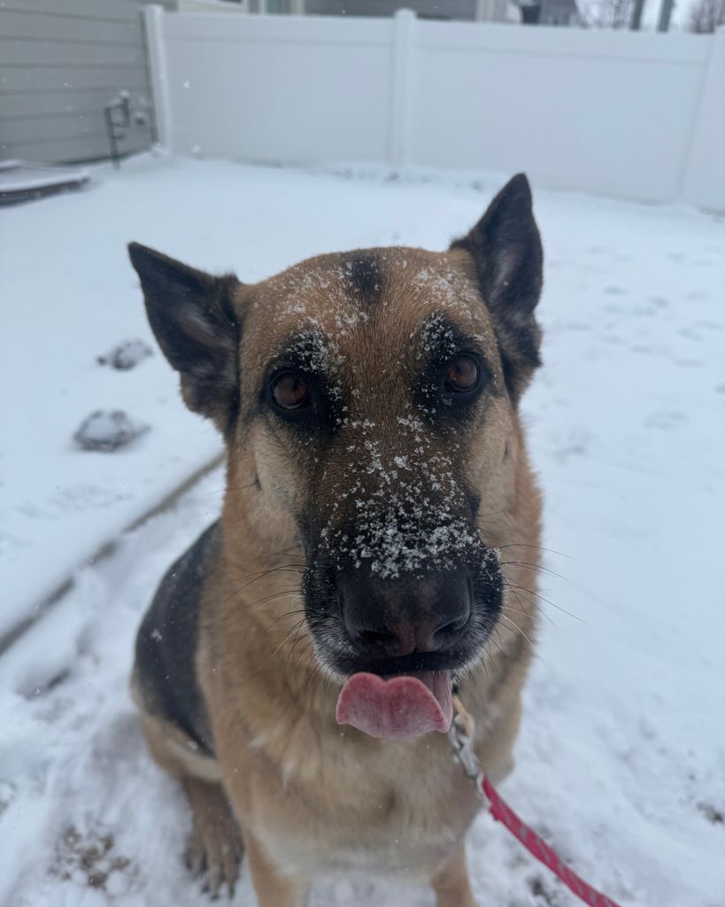 Levi Profile Photo