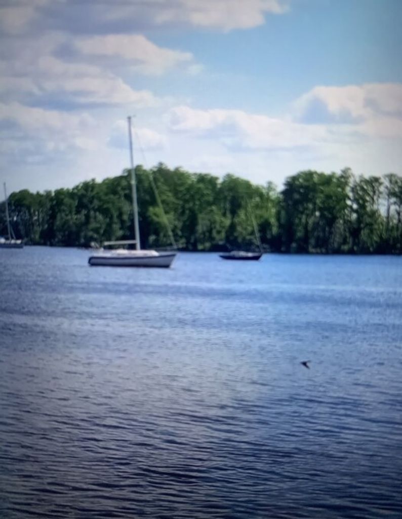 Henderson "Hint" Earl Rose, Jr.