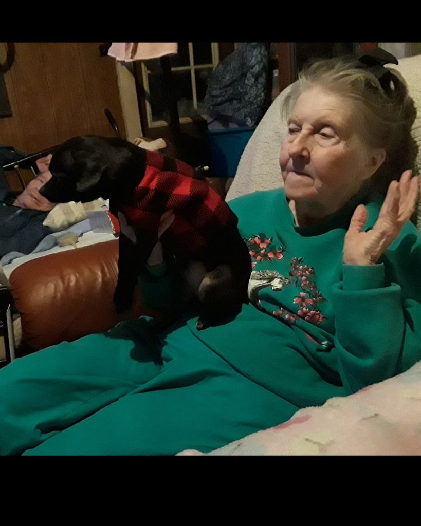 Delores Humphries Fields Profile Photo