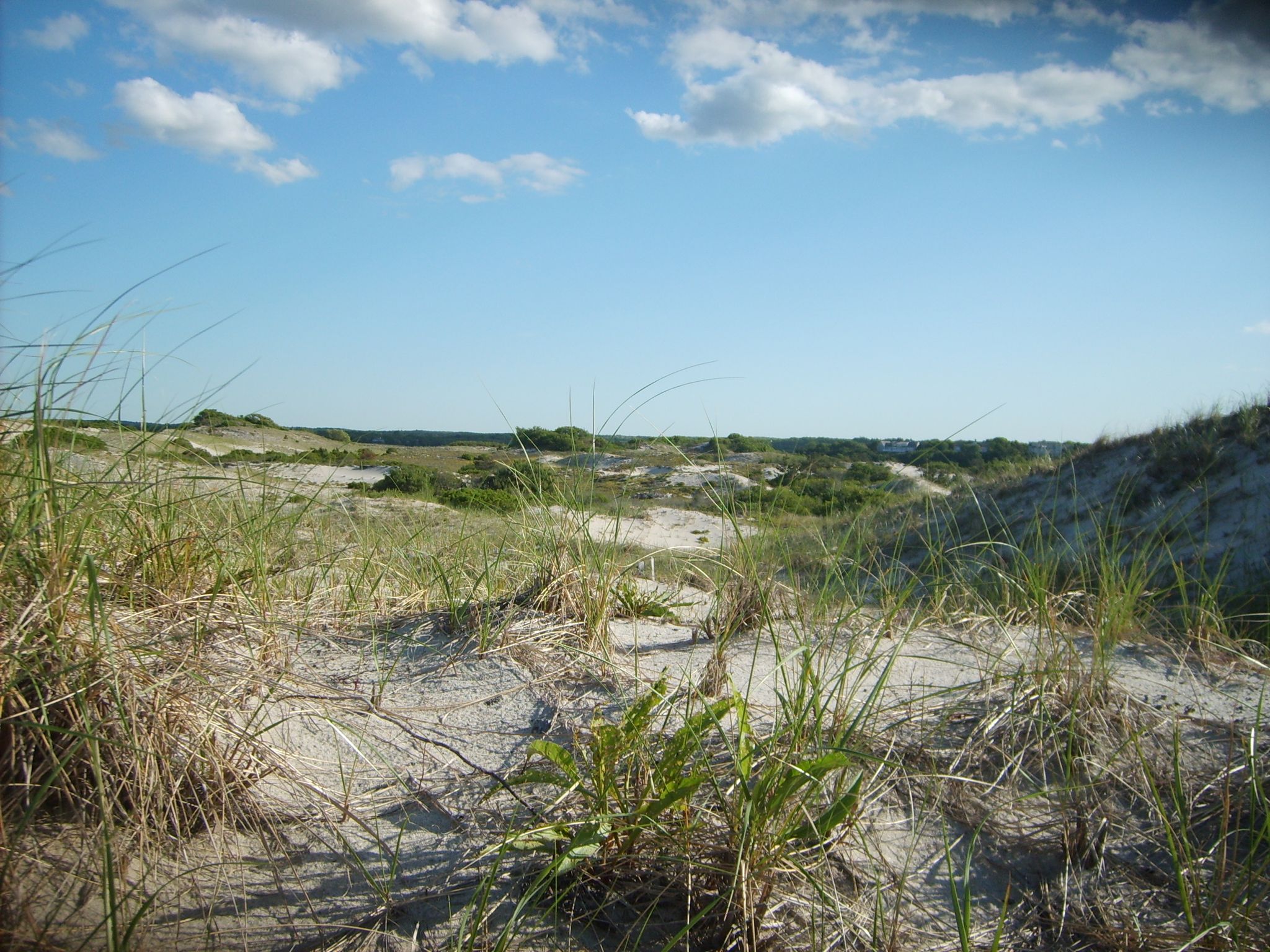 Cover photo for Ronald F. Cormier's Obituary