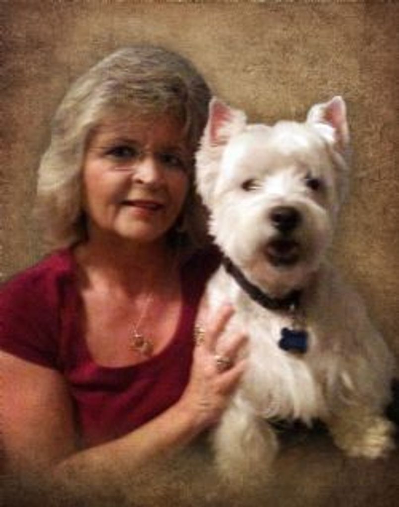 Donna Stone Profile Photo