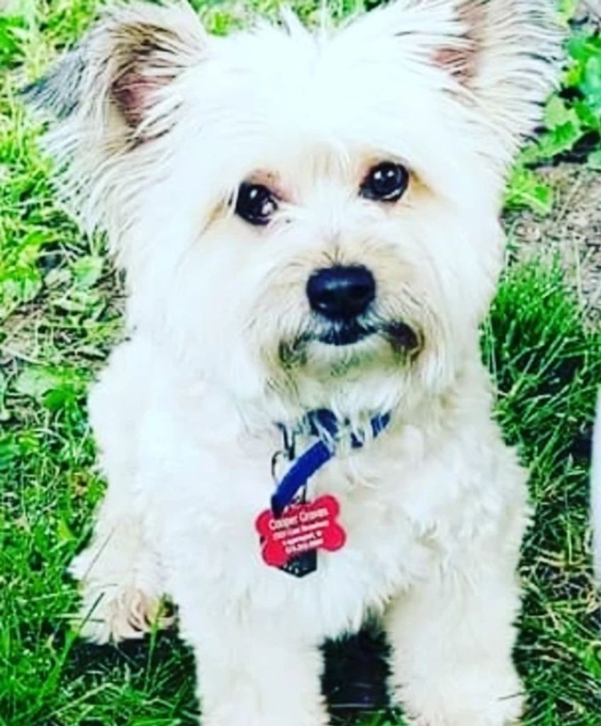 Cooper Rottet Profile Photo