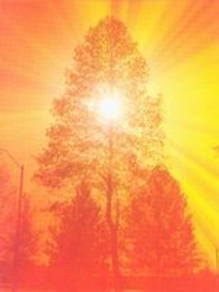 Dorothy Elizabeth Gruver