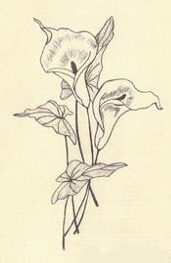 Thora Lee Baird Profile Photo