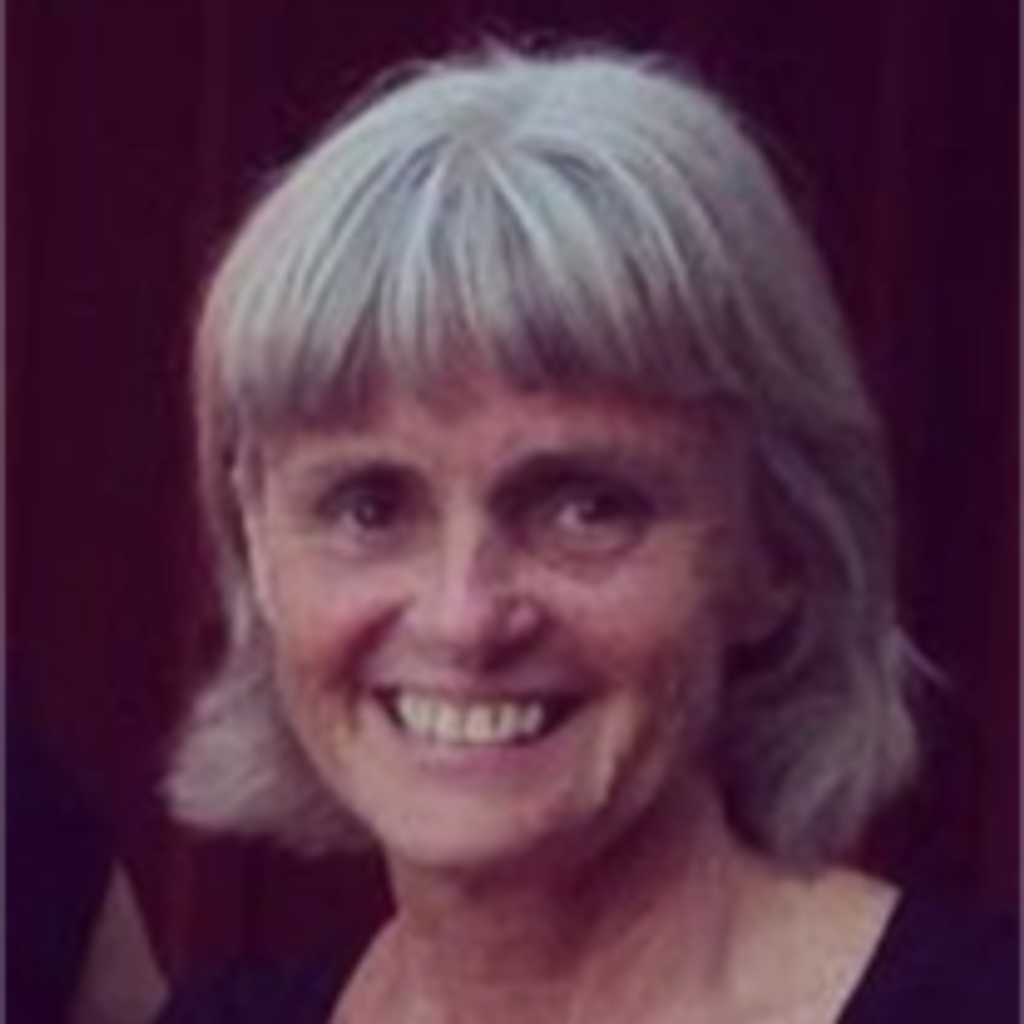 Susan Fish Profile Photo