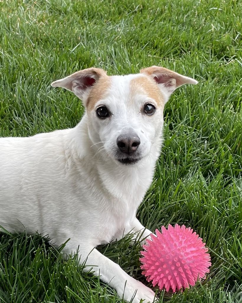 Ellie Belle Ball