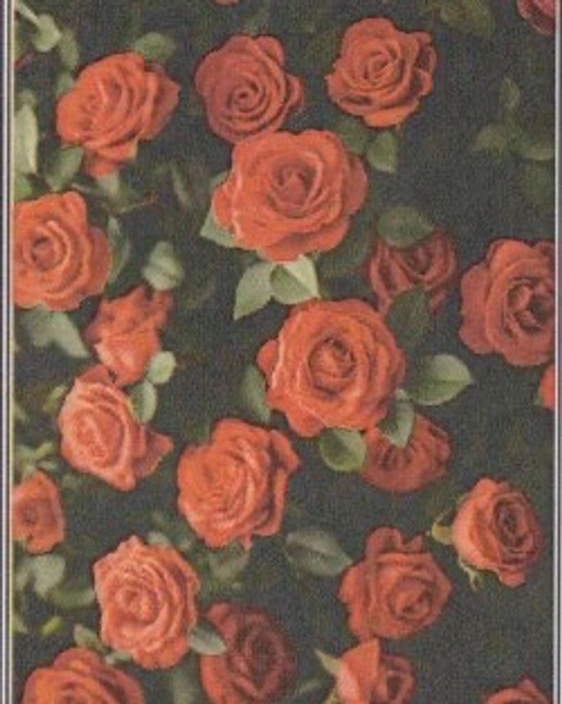 Susan V. Alspaugh Profile Photo