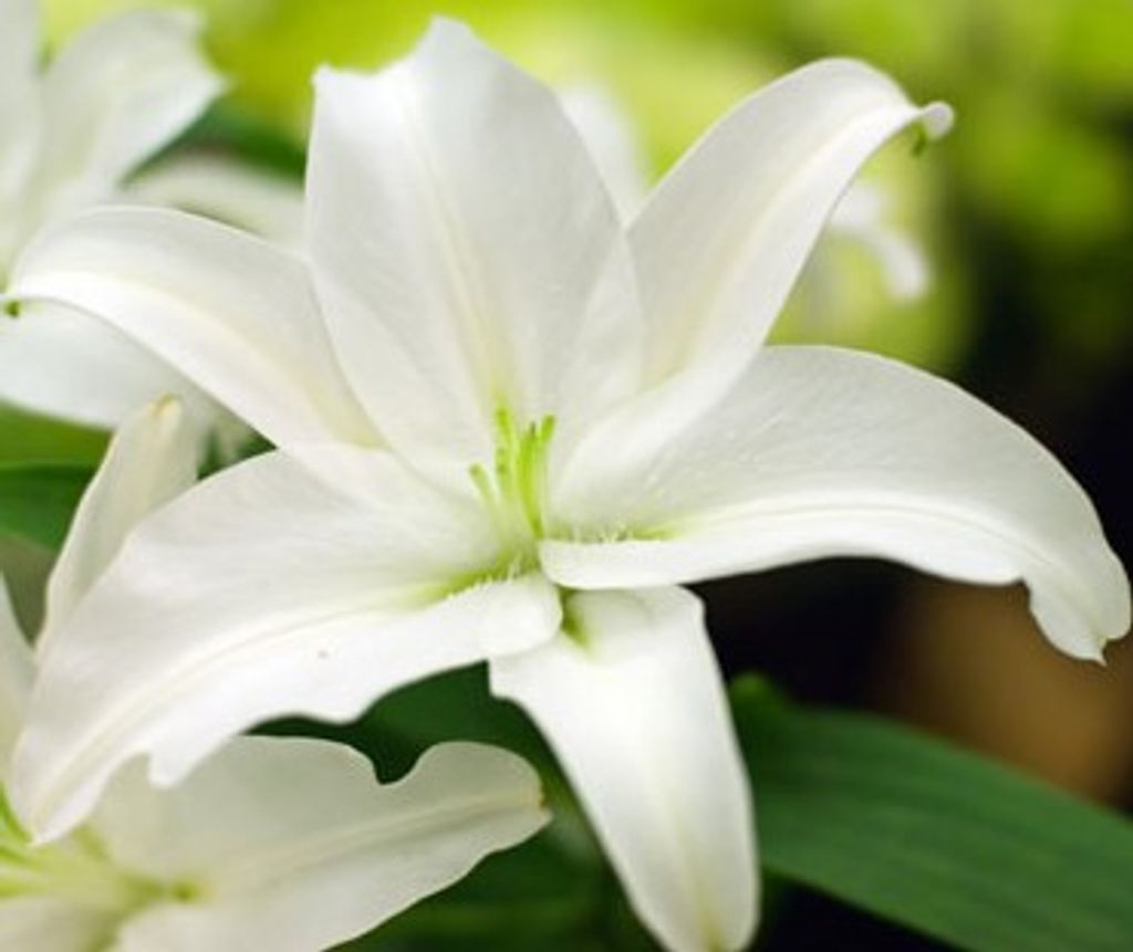 Eunice Tyler Martin Profile Photo