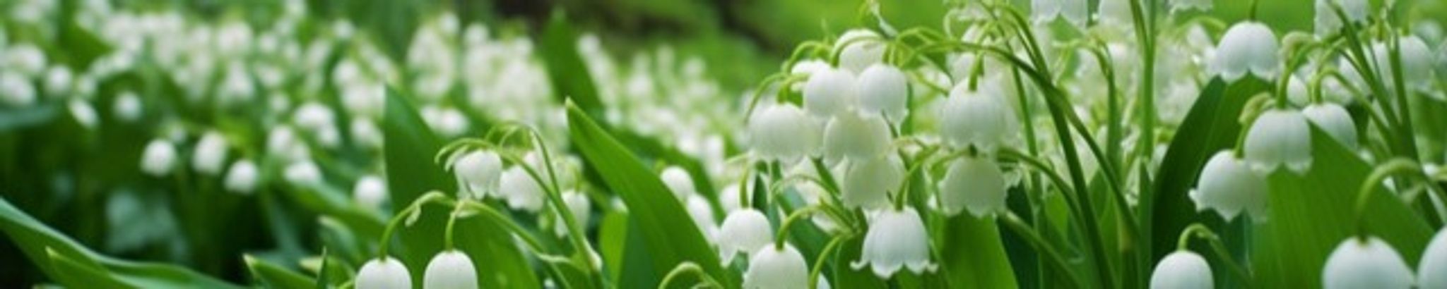 Cover photo for Linda K. Fahning's Obituary