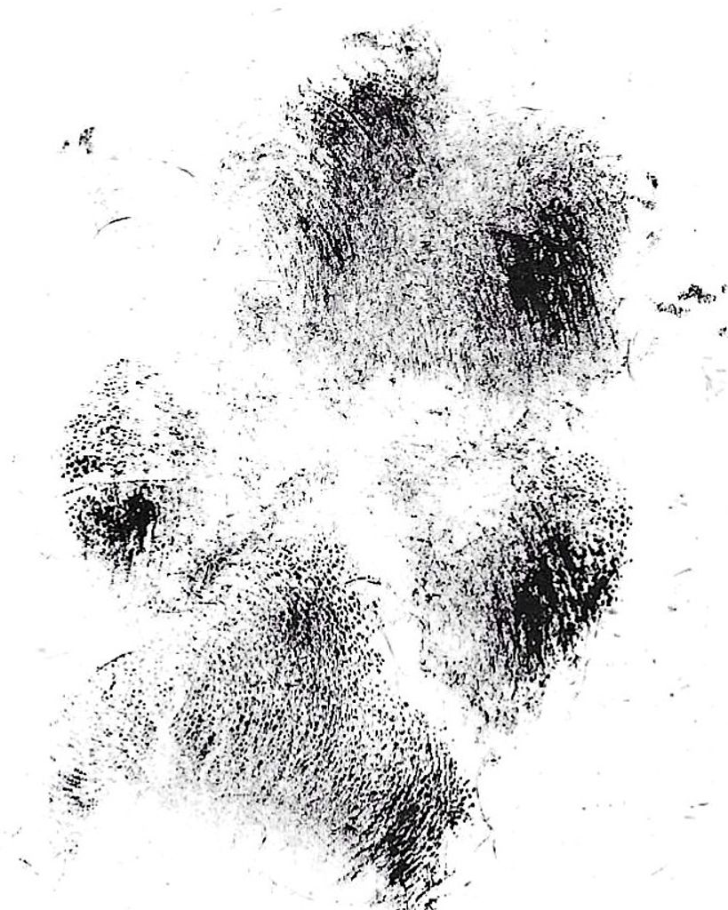 Ellie Cortes Profile Photo