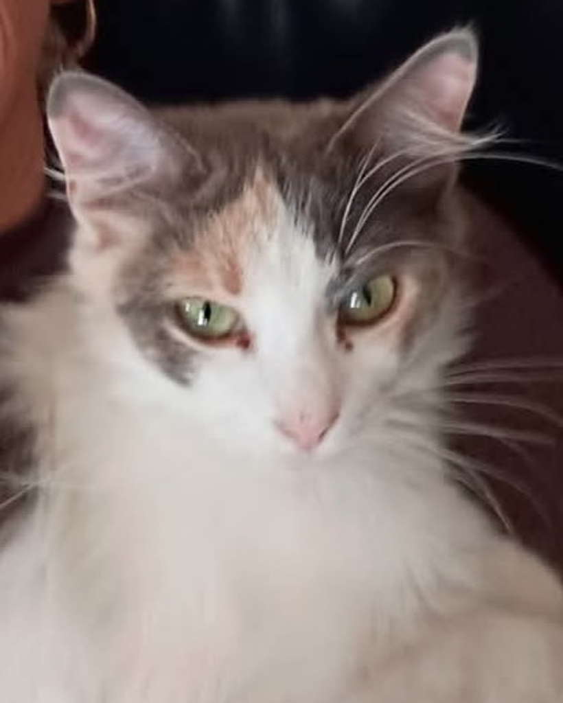 Kitty ♥ Profile Photo