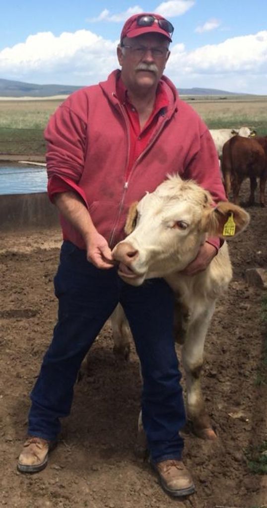 David Kruse Profile Photo