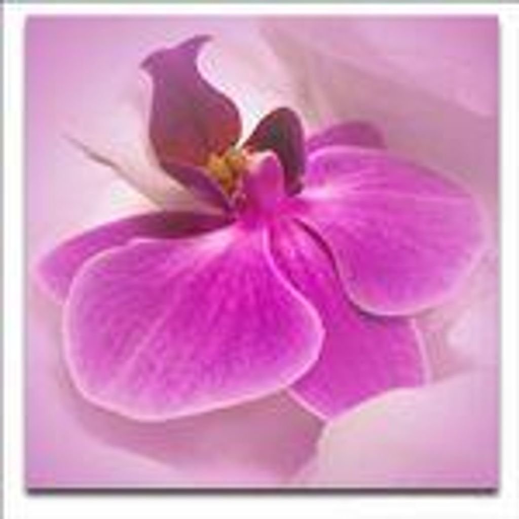 Ernestine Shumate Smith Profile Photo
